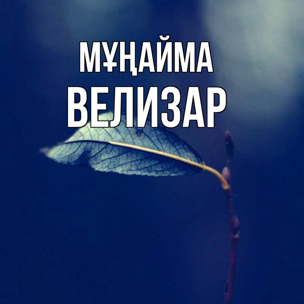 Күн сайын ашық хат с именем, Велизар Мұңайма растение Онлайн тегін жүктеп алу тілектері бар керемет карта 