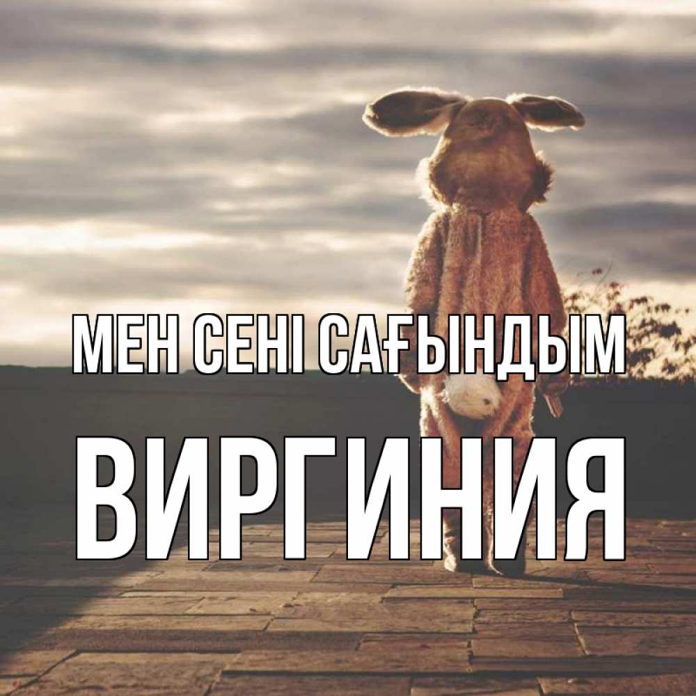 Күн сайын ашық хат с именем, Виргиния Мен сені сағындым даже в костюме зайца Онлайн тегін жүктеп алу тілектері бар керемет карта 