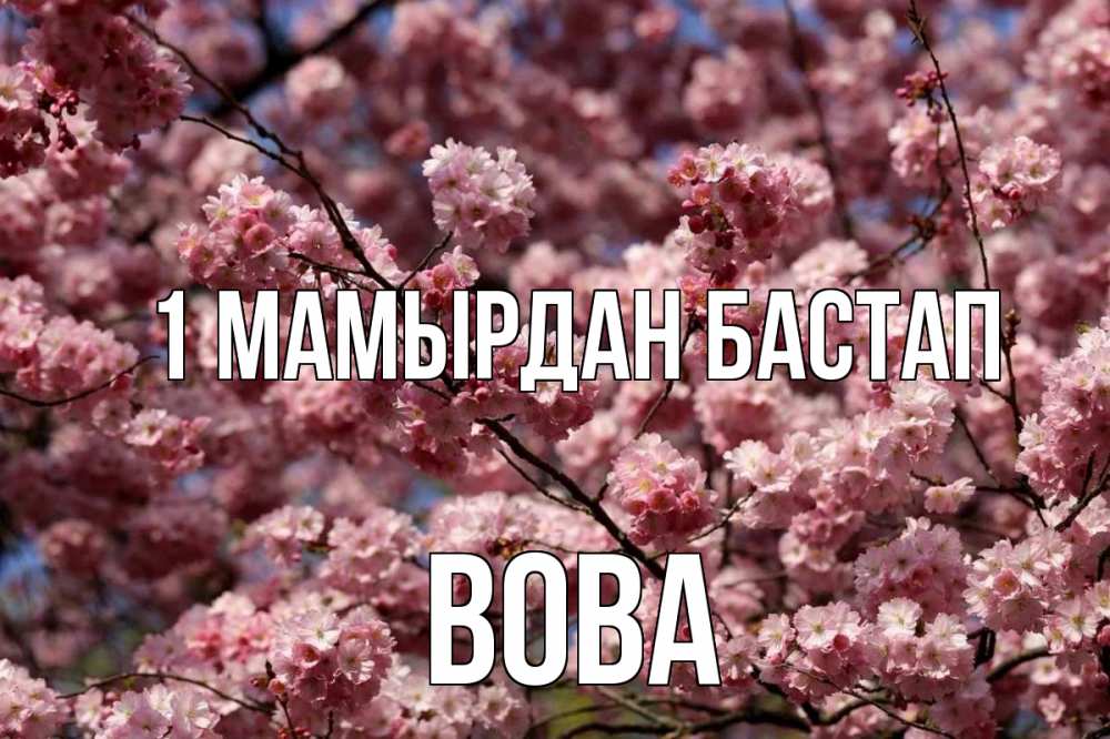 Күн сайын ашық хат с именем, Вова 1 мамырдан бастап С 1 мая Онлайн тегін жүктеп алу тілектері бар керемет карта 