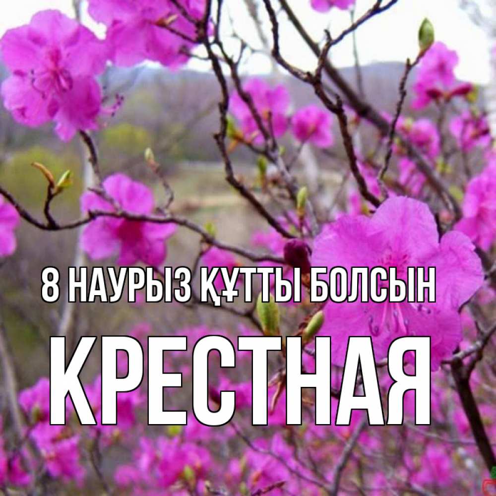Күн сайын ашық хат с именем, Крестная 8 наурыз құтты болсын международный женский день Онлайн тегін жүктеп алу тілектері бар керемет карта 