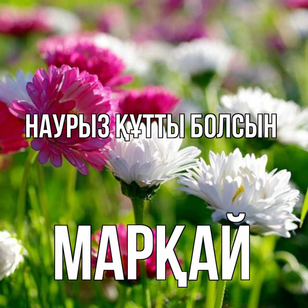 Күн сайын ашық хат с именем, МАРҚАЙ Наурыз құтты болсын наурыз Онлайн тегін жүктеп алу тілектері бар керемет карта 