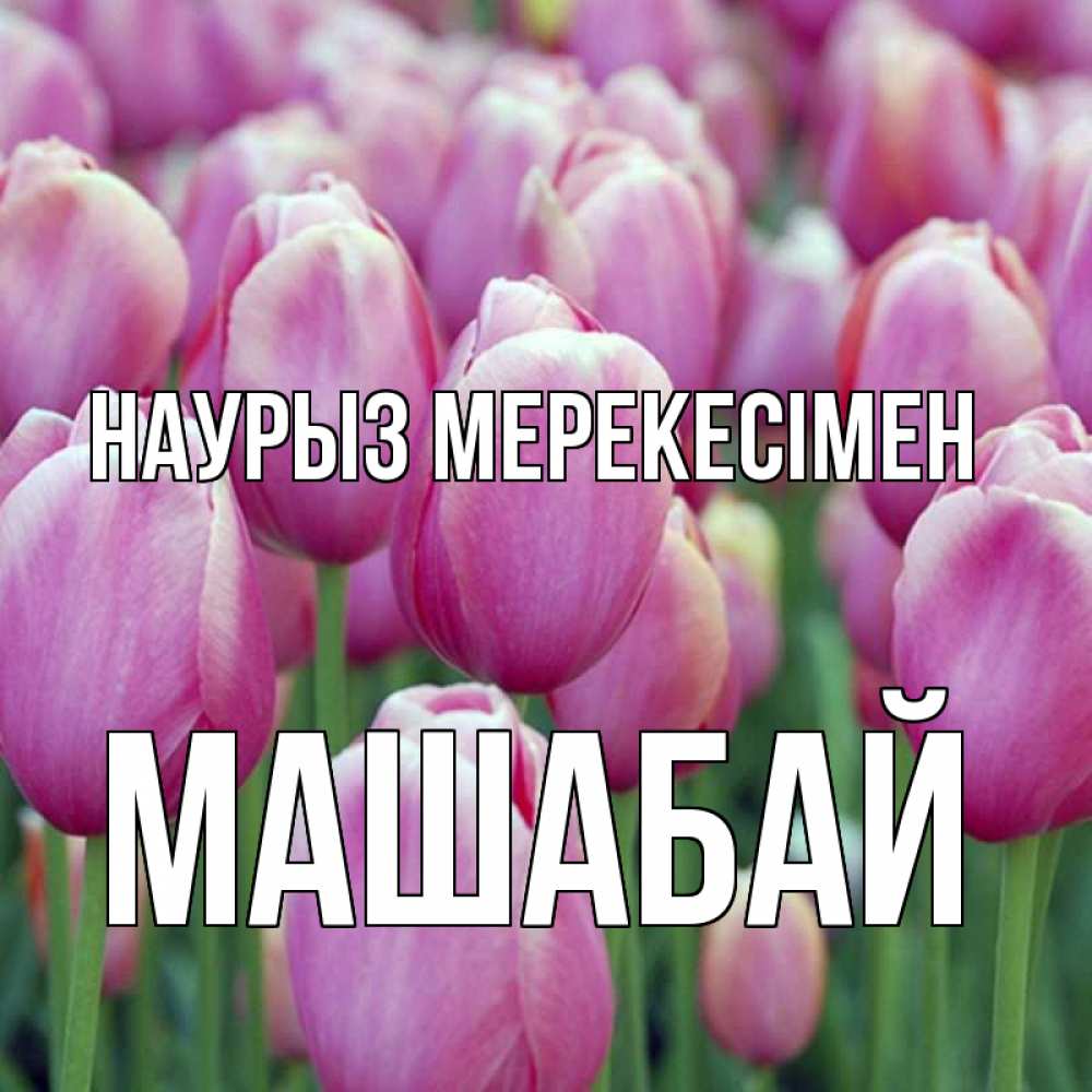 Күн сайын ашық хат с именем, МАШАБАЙ Наурыз мерекесімен праздник весны наурыз 69 Онлайн тегін жүктеп алу тілектері бар керемет карта 