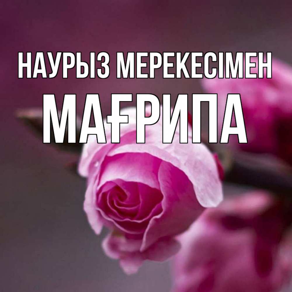 Күн сайын ашық хат с именем, МАҒРИПА Наурыз мерекесімен весна Онлайн тегін жүктеп алу тілектері бар керемет карта 