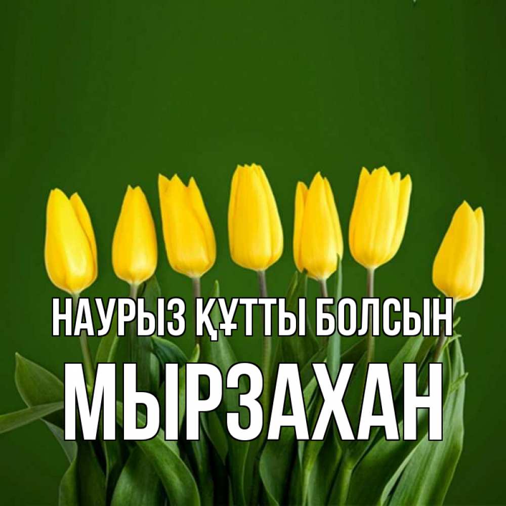 Күн сайын ашық хат с именем, Мырзахан Наурыз құтты болсын желтого цвета 3 Онлайн тегін жүктеп алу тілектері бар керемет карта 