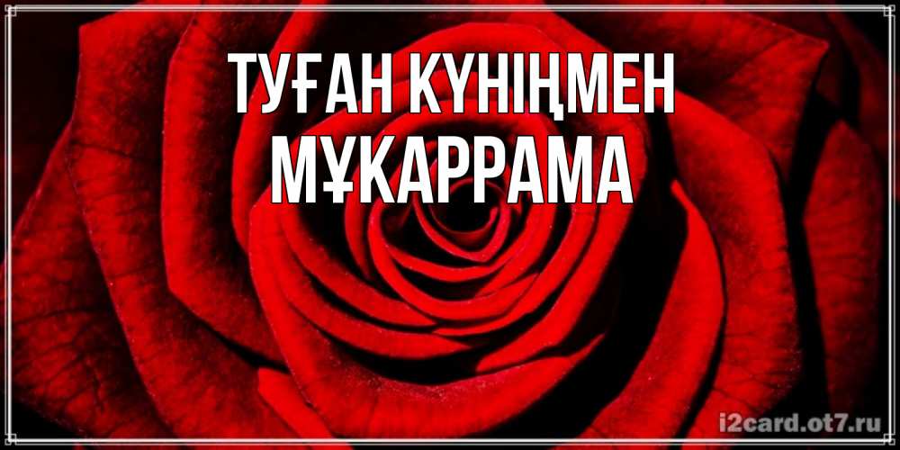 Күн сайын ашық хат с именем, МҰКАРРАМА Туған күніңмен алая роза Онлайн тегін жүктеп алу тілектері бар керемет карта 