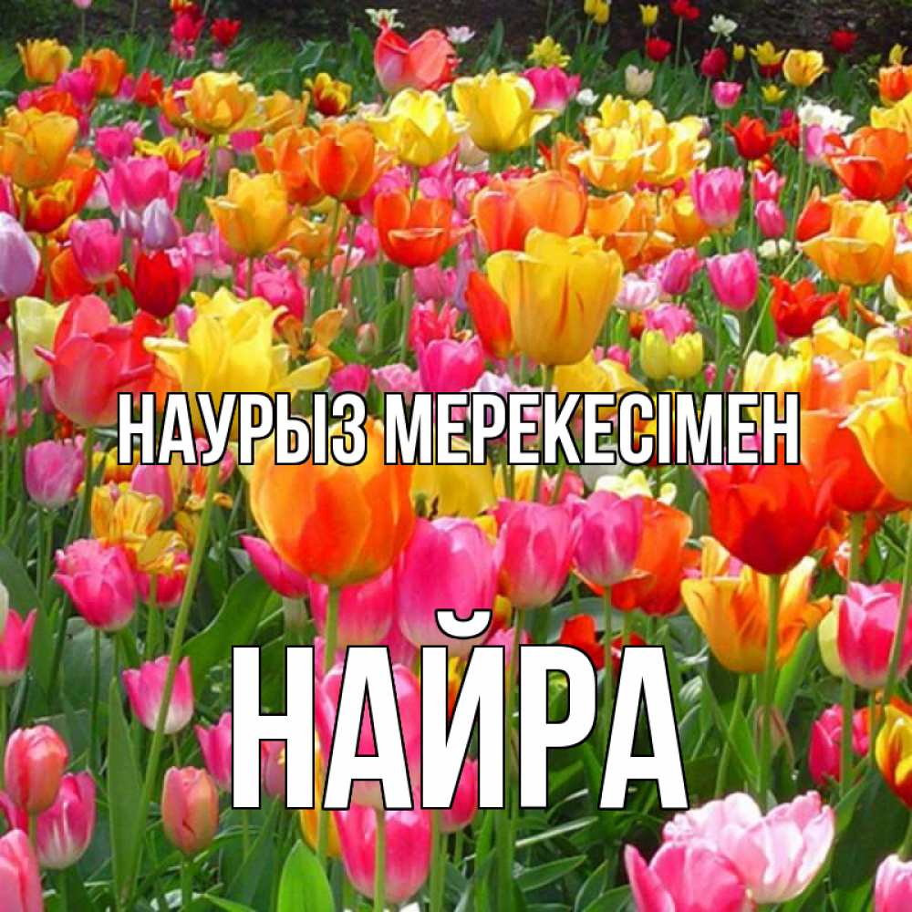 Күн сайын ашық хат с именем, НАЙРА Наурыз мерекесімен праздник весны наурыз 4 Онлайн тегін жүктеп алу тілектері бар керемет карта 