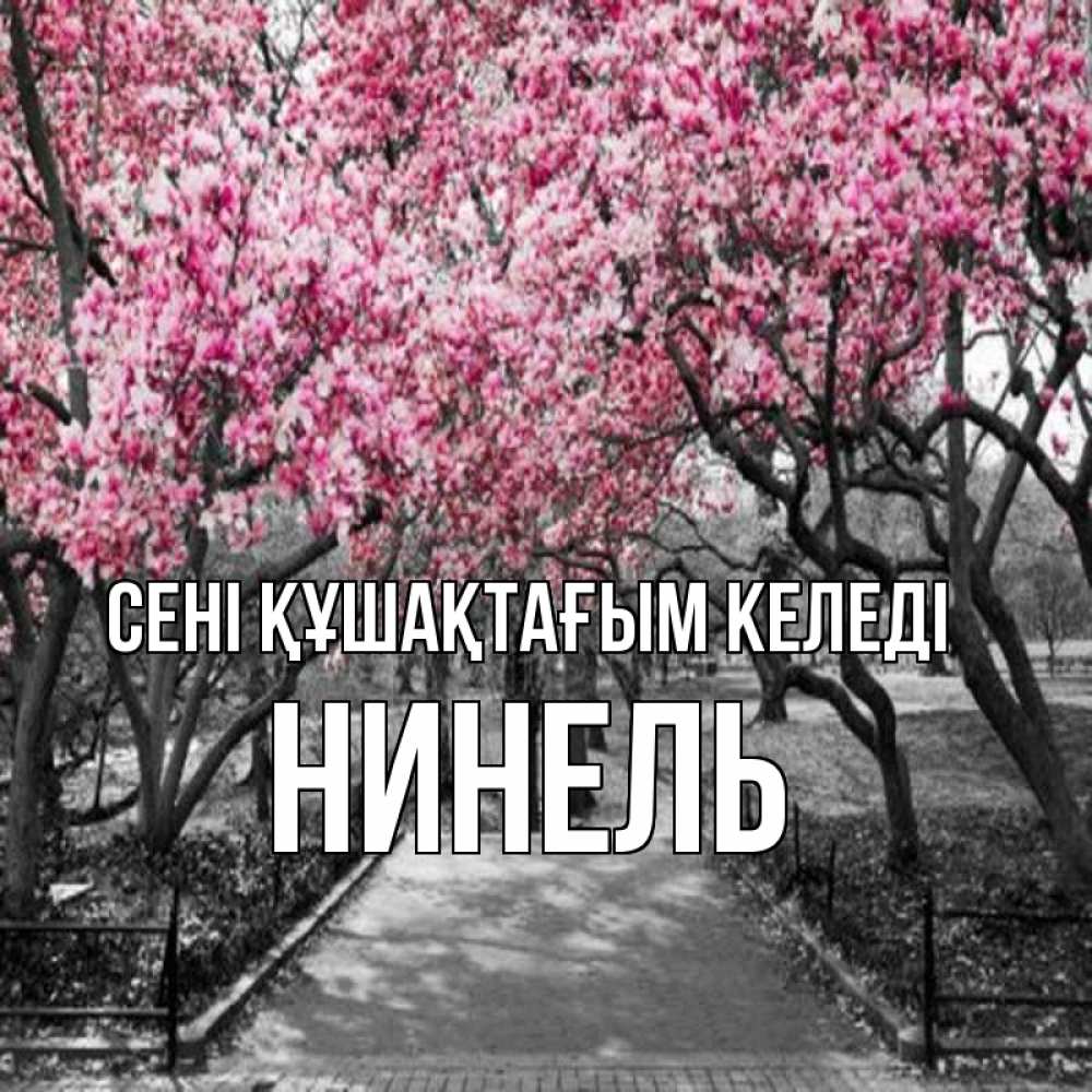 Күн сайын ашық хат с именем, Нинель сені құшақтағым келеді обработанное фото Онлайн тегін жүктеп алу тілектері бар керемет карта 
