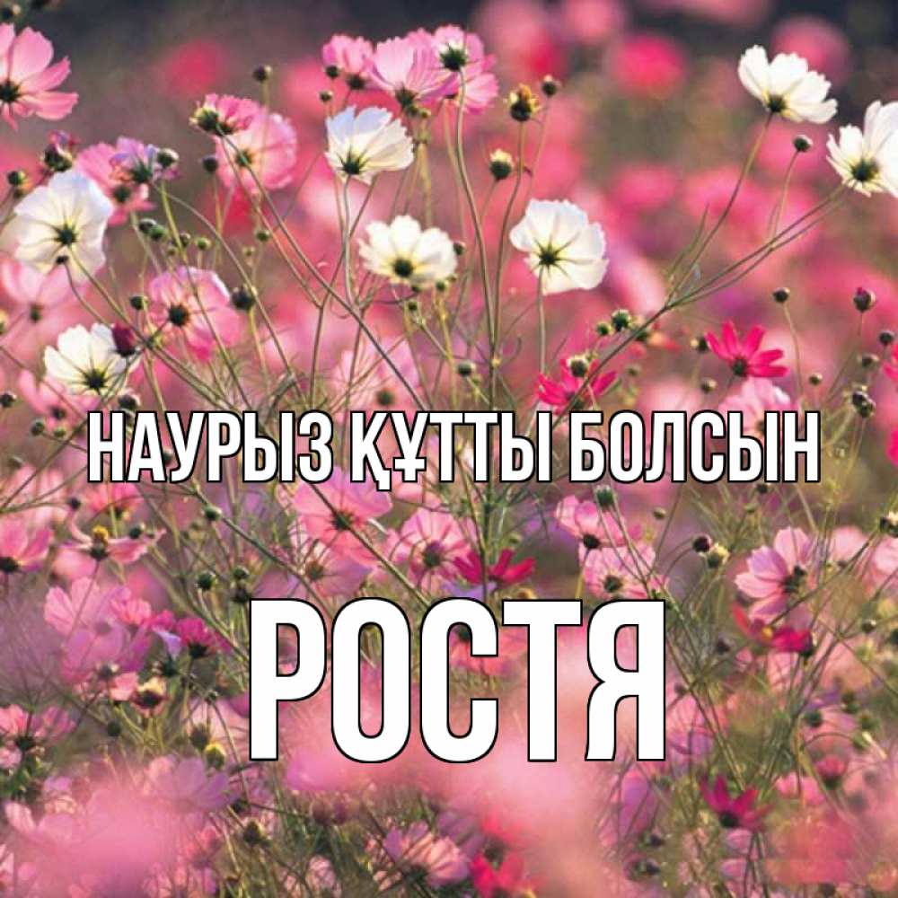 Күн сайын ашық хат с именем, Ростя Наурыз құтты болсын красиво 1 Онлайн тегін жүктеп алу тілектері бар керемет карта 