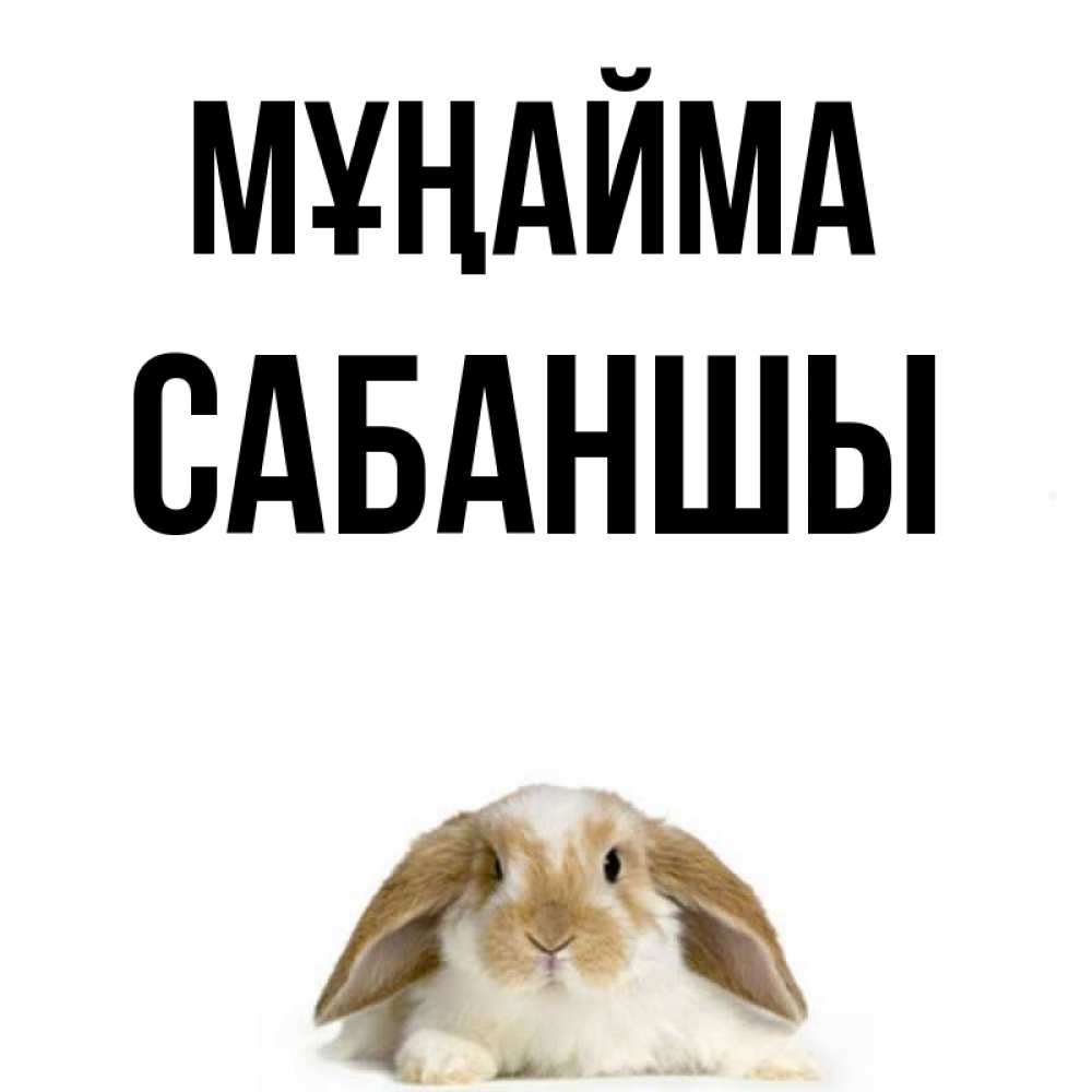 Күн сайын ашық хат с именем, САБАНШЫ Мұңайма коричнево белый заяц с большими ушками Онлайн тегін жүктеп алу тілектері бар керемет карта 