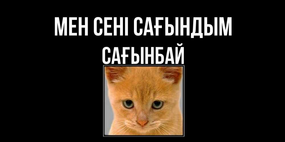 Күн сайын ашық хат с именем, Сағынбай Мен сені сағындым открытки рыжий котенок скучает по тебе Онлайн тегін жүктеп алу тілектері бар керемет карта 