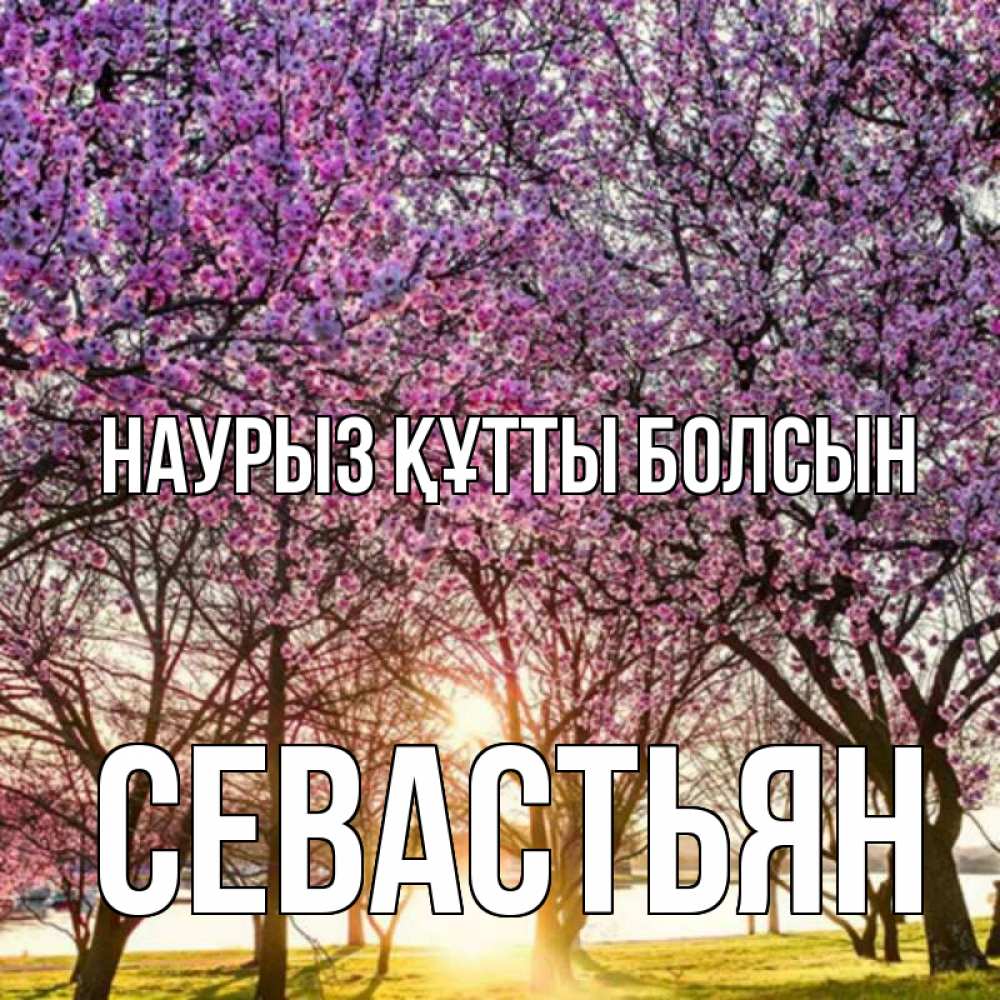 Күн сайын ашық хат с именем, Севастьян Наурыз құтты болсын наурыз Онлайн тегін жүктеп алу тілектері бар керемет карта 