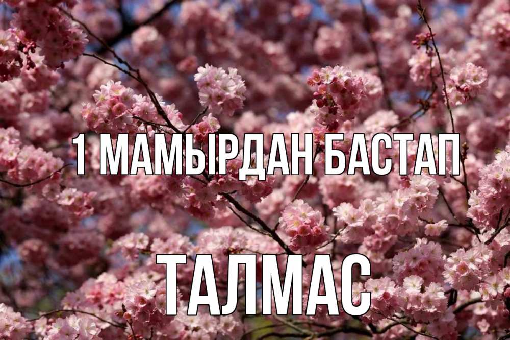 Күн сайын ашық хат с именем, ТАЛМАС 1 мамырдан бастап С 1 мая Онлайн тегін жүктеп алу тілектері бар керемет карта 