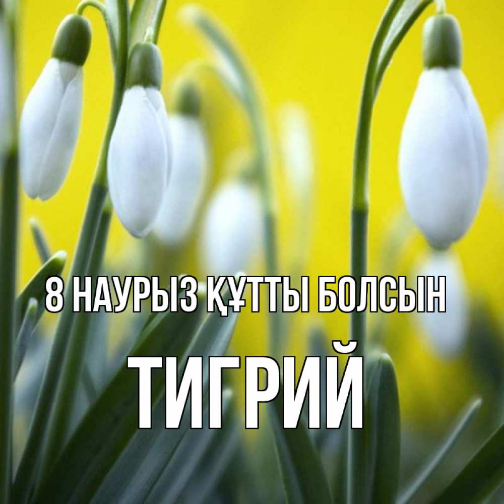 Күн сайын ашық хат с именем, Тигрий 8 наурыз құтты болсын весенние цветы Онлайн тегін жүктеп алу тілектері бар керемет карта 