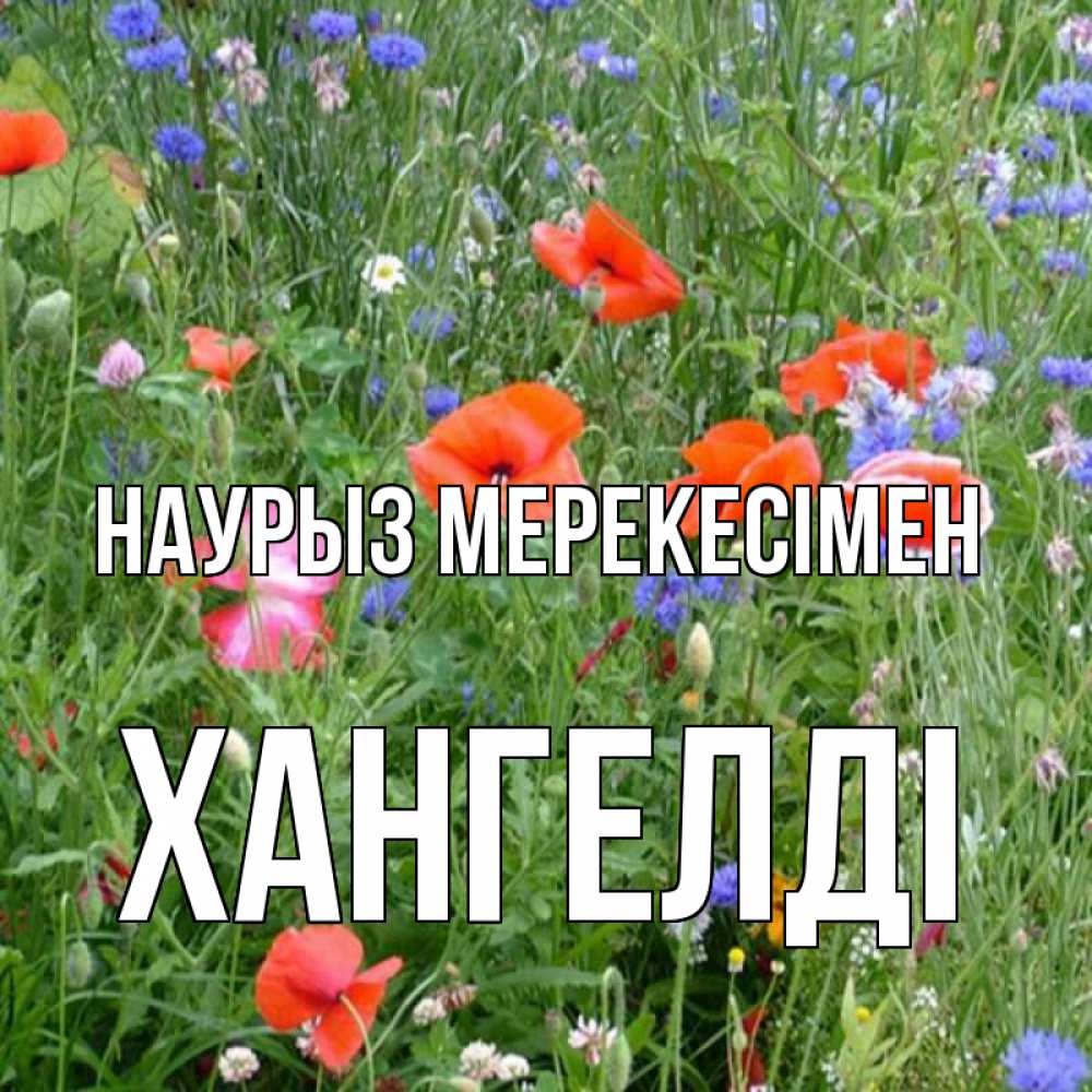 Күн сайын ашық хат с именем, ХАНГЕЛДІ Наурыз мерекесімен праздник весны наурыз супер открытка Онлайн тегін жүктеп алу тілектері бар керемет карта 