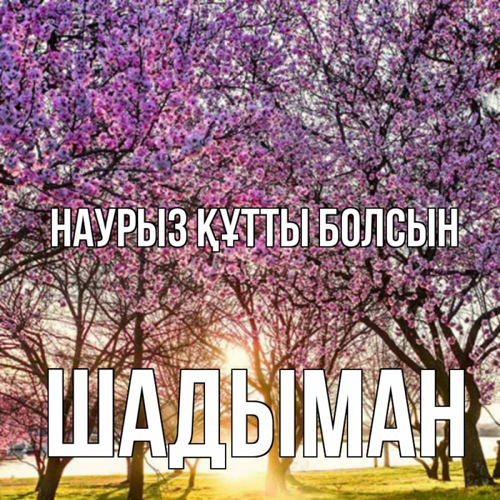 Күн сайын ашық хат с именем, ШАДЫМАН Наурыз құтты болсын наурыз Онлайн тегін жүктеп алу тілектері бар керемет карта 