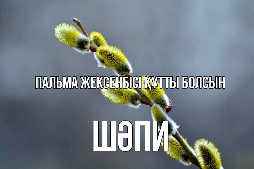 Күн сайын ашық хат с именем, ШӘПИ Пальма жексенбісі құтты болсын верба Онлайн тегін жүктеп алу тілектері бар керемет карта 