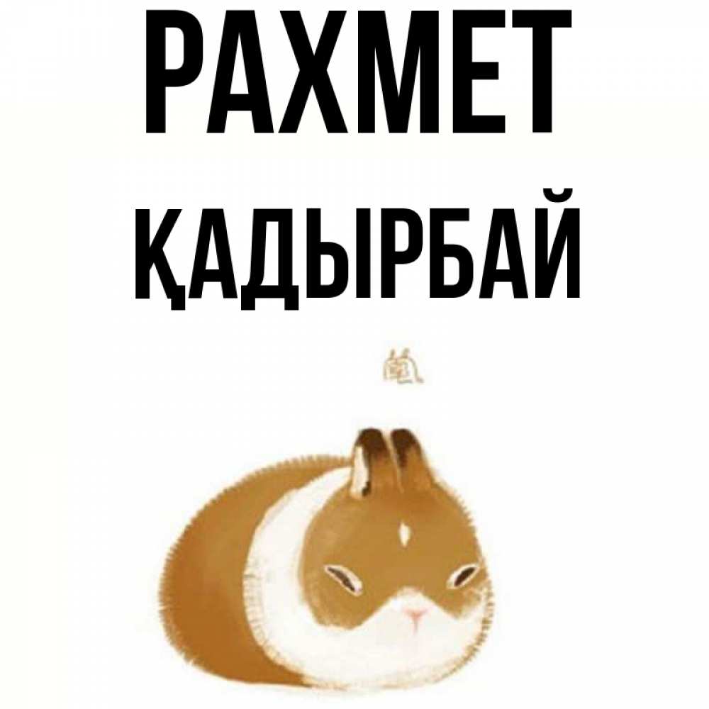 Күн сайын ашық хат с именем, Қадырбай рахмет коричнево белый домашний питомец Онлайн тегін жүктеп алу тілектері бар керемет карта 