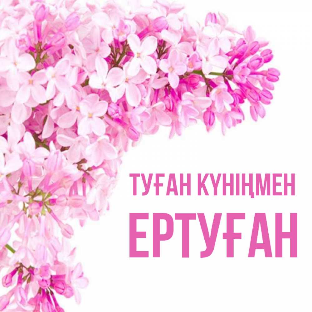 Күн сайын ашық хат с именем, Ертуған Туған күніңмен Сирень на белом фоне Онлайн тегін жүктеп алу тілектері бар керемет карта 