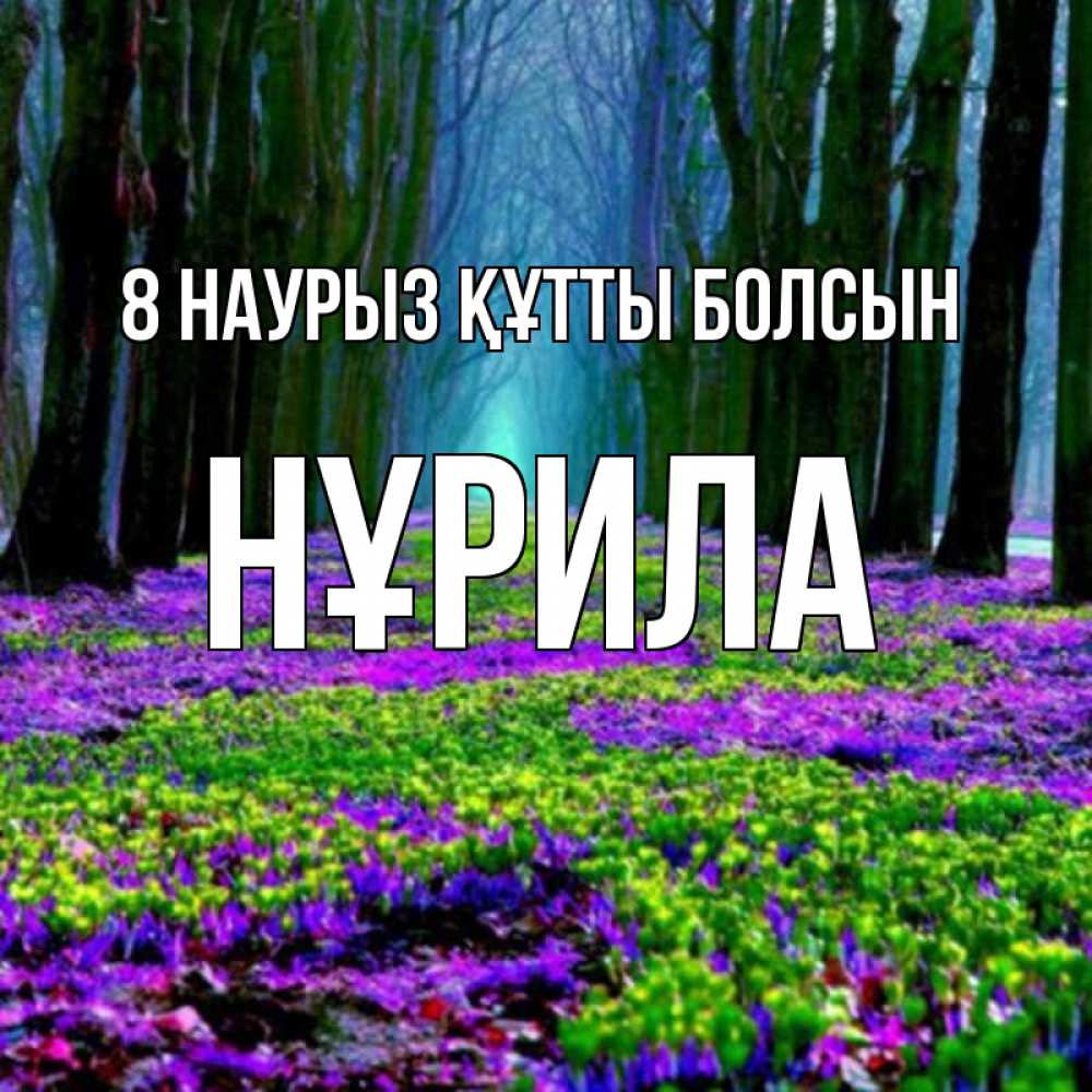 Күн сайын ашық хат с именем, НҰРИЛА 8 наурыз құтты болсын фиолетовые цветы в лесу 1 Онлайн тегін жүктеп алу тілектері бар керемет карта 
