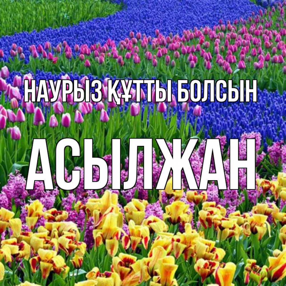 Күн сайын ашық хат с именем, Асылжан Наурыз құтты болсын цветы Онлайн тегін жүктеп алу тілектері бар керемет карта 