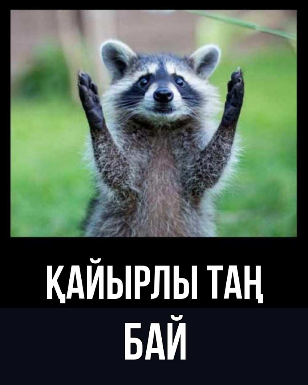 Күн сайын ашық хат с именем, Бай Қайырлы таң хорошее настроение утречком Онлайн тегін жүктеп алу тілектері бар керемет карта 