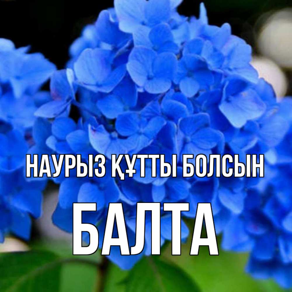 Күн сайын ашық хат с именем, Балта Наурыз құтты болсын синие цветы Онлайн тегін жүктеп алу тілектері бар керемет карта 
