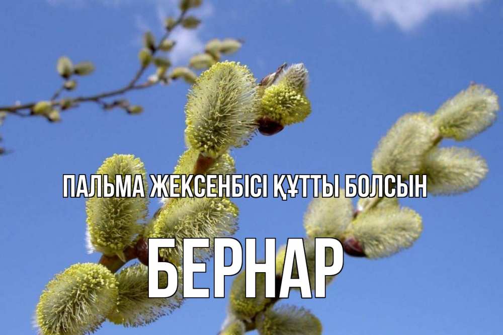 Күн сайын ашық хат с именем, Бернар Пальма жексенбісі құтты болсын верба Онлайн тегін жүктеп алу тілектері бар керемет карта 
