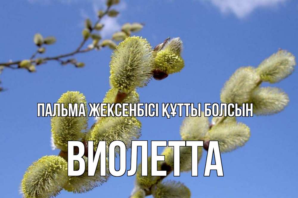 Күн сайын ашық хат с именем, Виолетта Пальма жексенбісі құтты болсын верба Онлайн тегін жүктеп алу тілектері бар керемет карта 