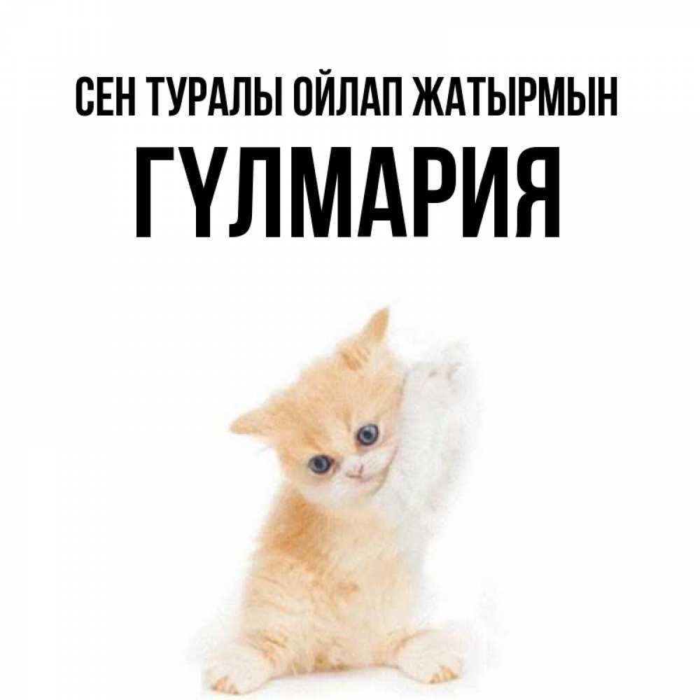 Күн сайын ашық хат с именем, ГҮЛМАРИЯ Сен туралы ойлап жатырмын зверушки и милота Онлайн тегін жүктеп алу тілектері бар керемет карта 
