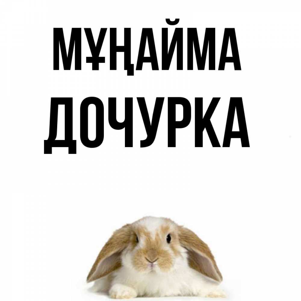 Күн сайын ашық хат с именем, Дочурка Мұңайма коричнево белый заяц с большими ушками Онлайн тегін жүктеп алу тілектері бар керемет карта 