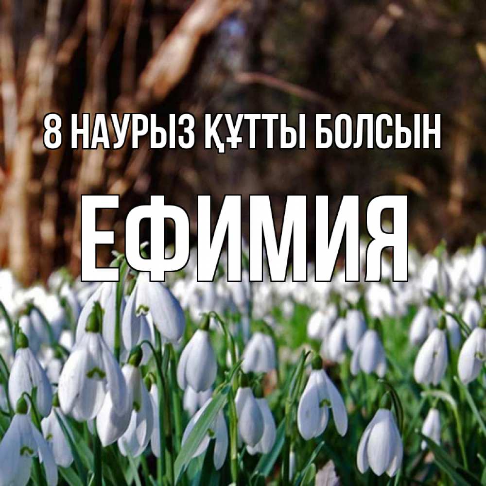 Күн сайын ашық хат с именем, Ефимия 8 наурыз құтты болсын с подснежниками 1 Онлайн тегін жүктеп алу тілектері бар керемет карта 