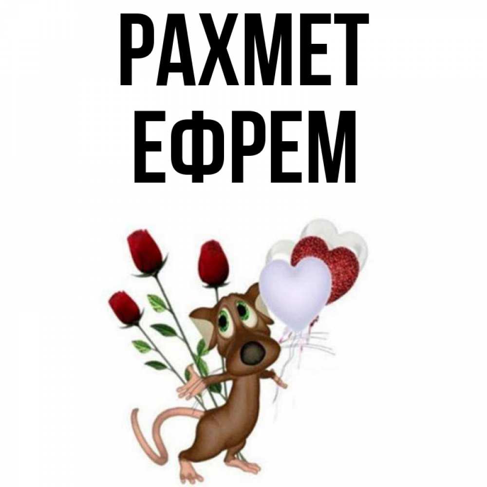 Күн сайын ашық хат с именем, Ефрем рахмет песик с шариками в форме сердец Онлайн тегін жүктеп алу тілектері бар керемет карта 