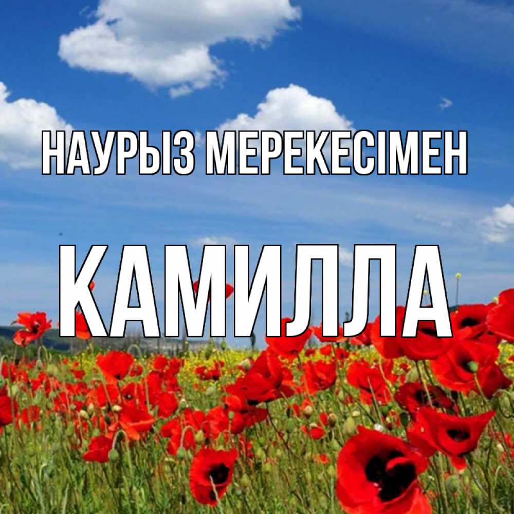 Күн сайын ашық хат с именем, Камилла Наурыз мерекесімен праздник весны наурыз очень красивая картинка Онлайн тегін жүктеп алу тілектері бар керемет карта 