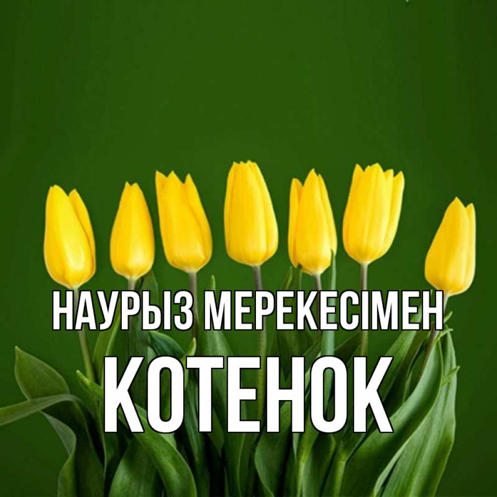 Күн сайын ашық хат с именем, Котенок Наурыз мерекесімен желтого цвета 3 Онлайн тегін жүктеп алу тілектері бар керемет карта 