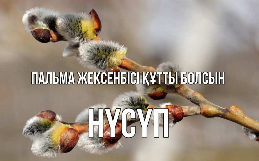 Күн сайын ашық хат с именем, НҮСҮП Пальма жексенбісі құтты болсын Верба Онлайн тегін жүктеп алу тілектері бар керемет карта 