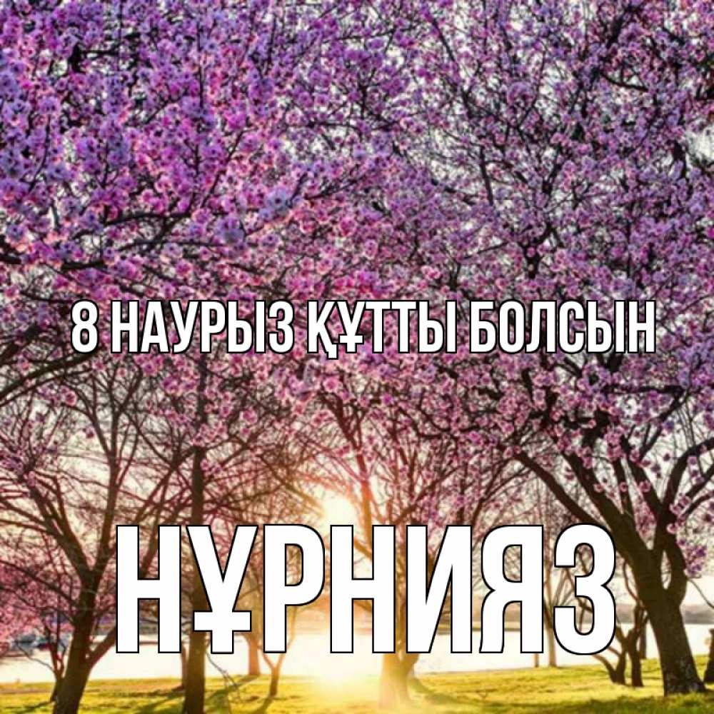 Күн сайын ашық хат с именем, НҰРНИЯЗ 8 наурыз құтты болсын международный женский день Онлайн тегін жүктеп алу тілектері бар керемет карта 