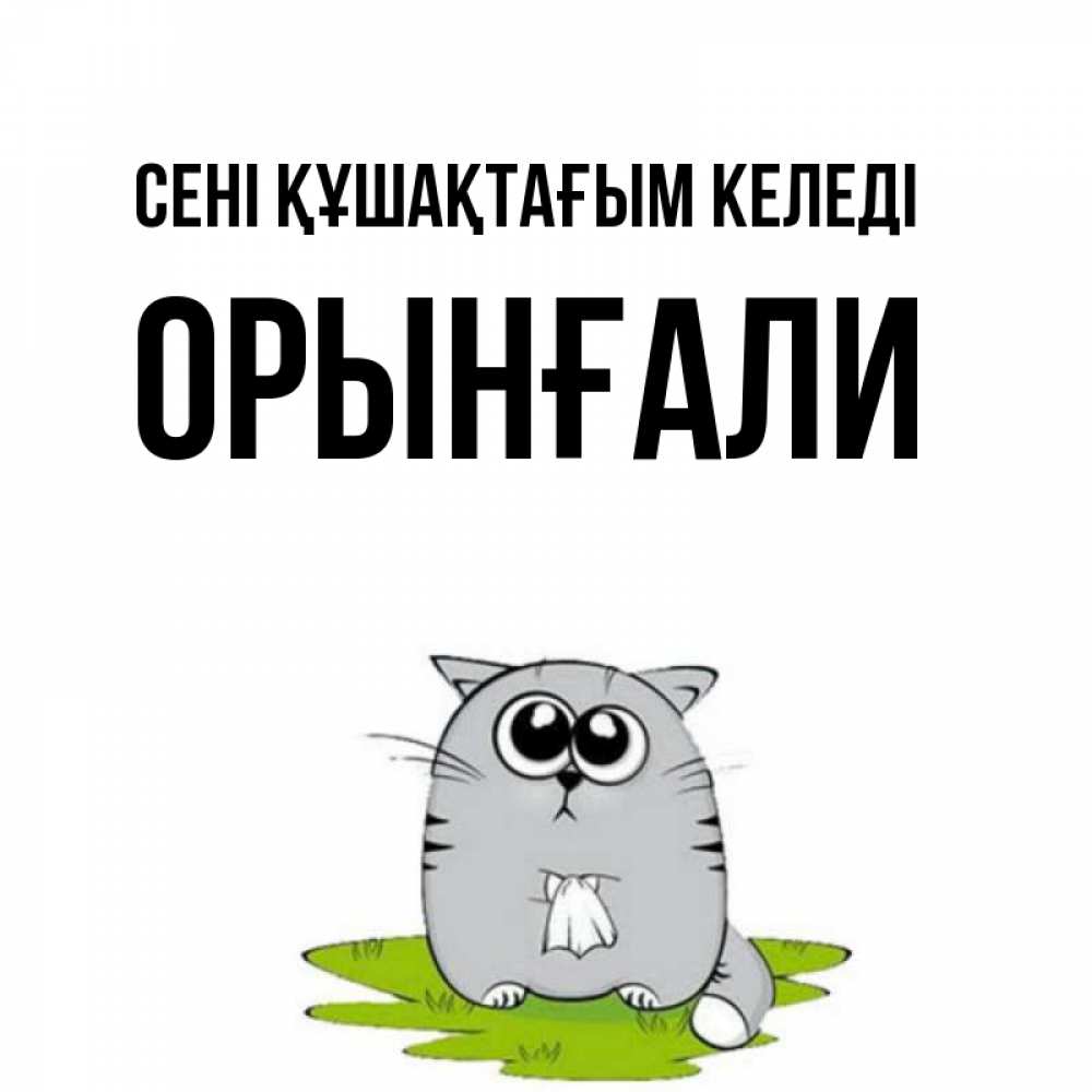Күн сайын ашық хат с именем, ОРЫНҒАЛИ сені құшақтағым келеді котик теребит платочек сидя на травке Онлайн тегін жүктеп алу тілектері бар керемет карта 