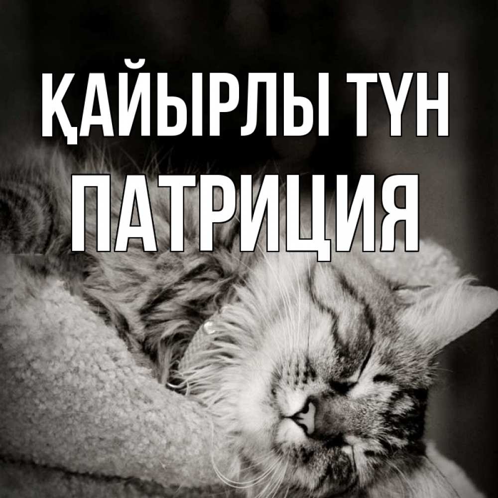 Күн сайын ашық хат с именем, Патриция Қайырлы түн котярик пушистый Онлайн тегін жүктеп алу тілектері бар керемет карта 