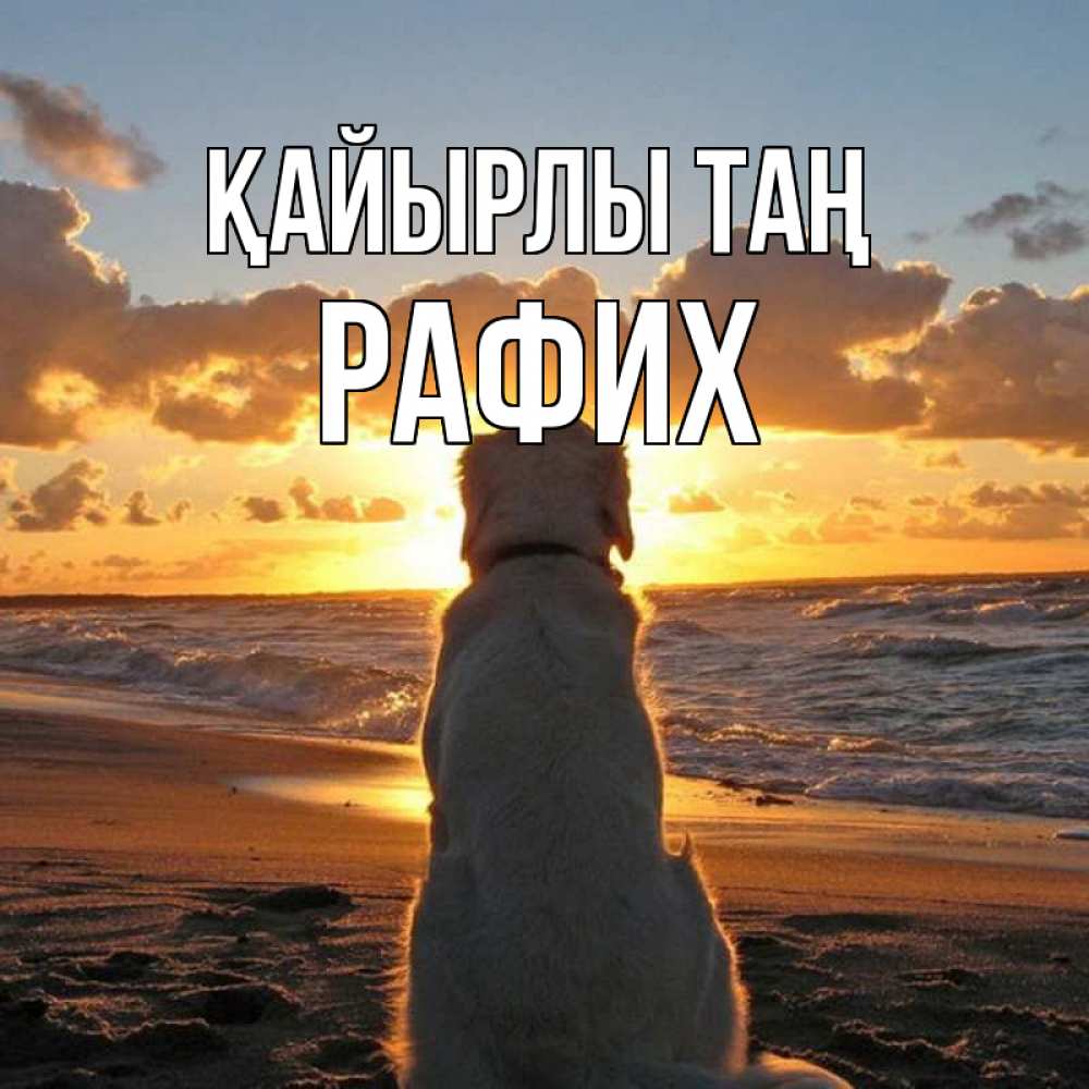 Күн сайын ашық хат с именем, РАФИХ Қайырлы таң восход солнца Онлайн тегін жүктеп алу тілектері бар керемет карта 