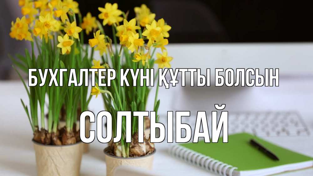 Күн сайын ашық хат с именем, СОЛТЫБАЙ бухгалтер күні құтты болсын с днем бухгалтера Онлайн тегін жүктеп алу тілектері бар керемет карта 