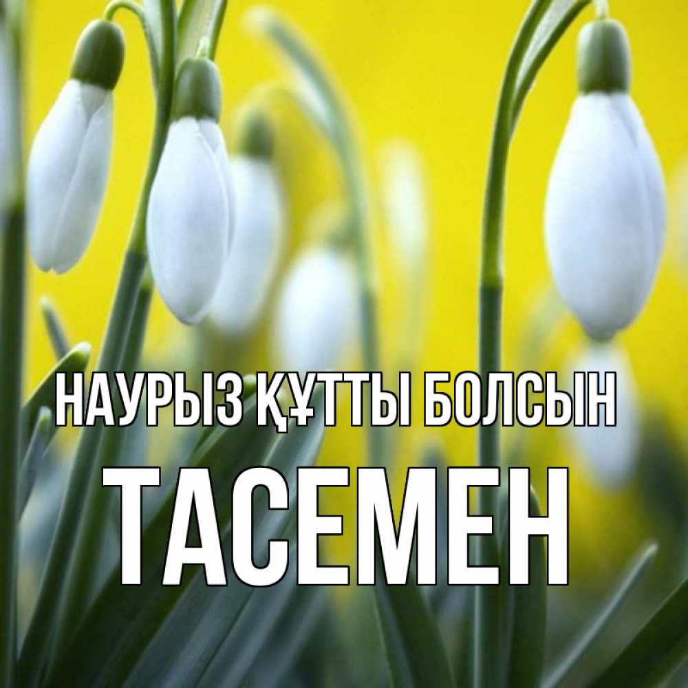 Күн сайын ашық хат с именем, ТАСЕМЕН Наурыз құтты болсын весенние цветы Онлайн тегін жүктеп алу тілектері бар керемет карта 