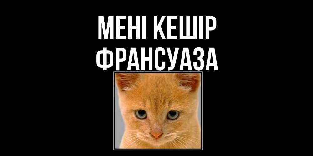 Күн сайын ашық хат с именем, Франсуаза Мені кешір рыжий грустный кот просит прощения Онлайн тегін жүктеп алу тілектері бар керемет карта 