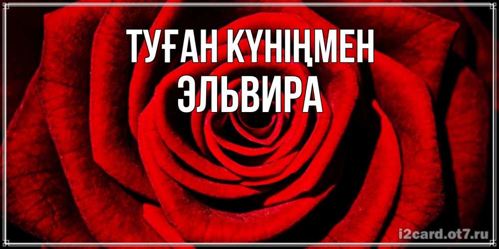Күн сайын ашық хат с именем, Эльвира Туған күніңмен алая роза Онлайн тегін жүктеп алу тілектері бар керемет карта 