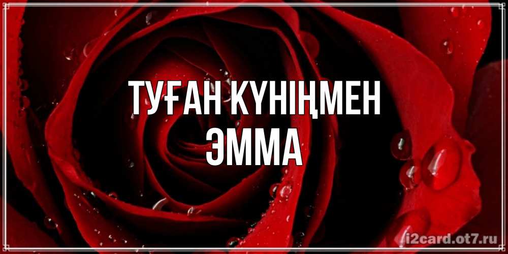 Күн сайын ашық хат с именем, Эмма Туған күніңмен крупная бордовая роза Онлайн тегін жүктеп алу тілектері бар керемет карта 