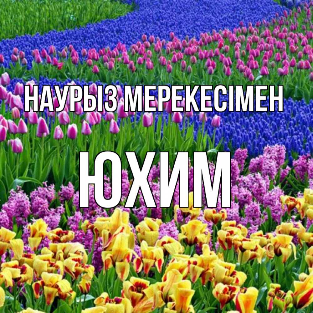 Күн сайын ашық хат с именем, Юхим Наурыз мерекесімен цветы Онлайн тегін жүктеп алу тілектері бар керемет карта 