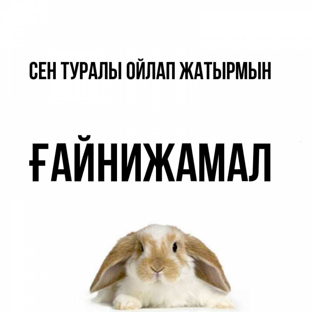 Күн сайын ашық хат с именем, ҒАЙНИЖАМАЛ Сен туралы ойлап жатырмын подписать своими руками онлайн Онлайн тегін жүктеп алу тілектері бар керемет карта 
