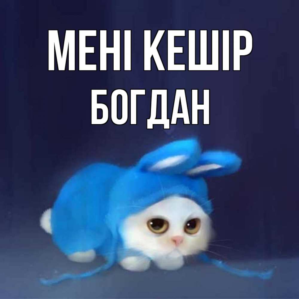 Күн сайын ашық хат с именем, Богдан Мені кешір невинный котозай просит прощения Онлайн тегін жүктеп алу тілектері бар керемет карта 