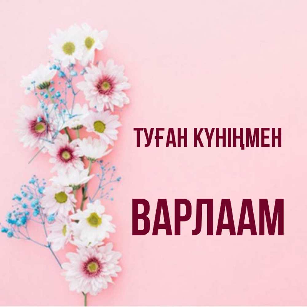 Күн сайын ашық хат с именем, Варлаам Туған күніңмен Родная моя с днем рождения тебя картинка с цветами белыми и голубыми Онлайн тегін жүктеп алу тілектері бар керемет карта 