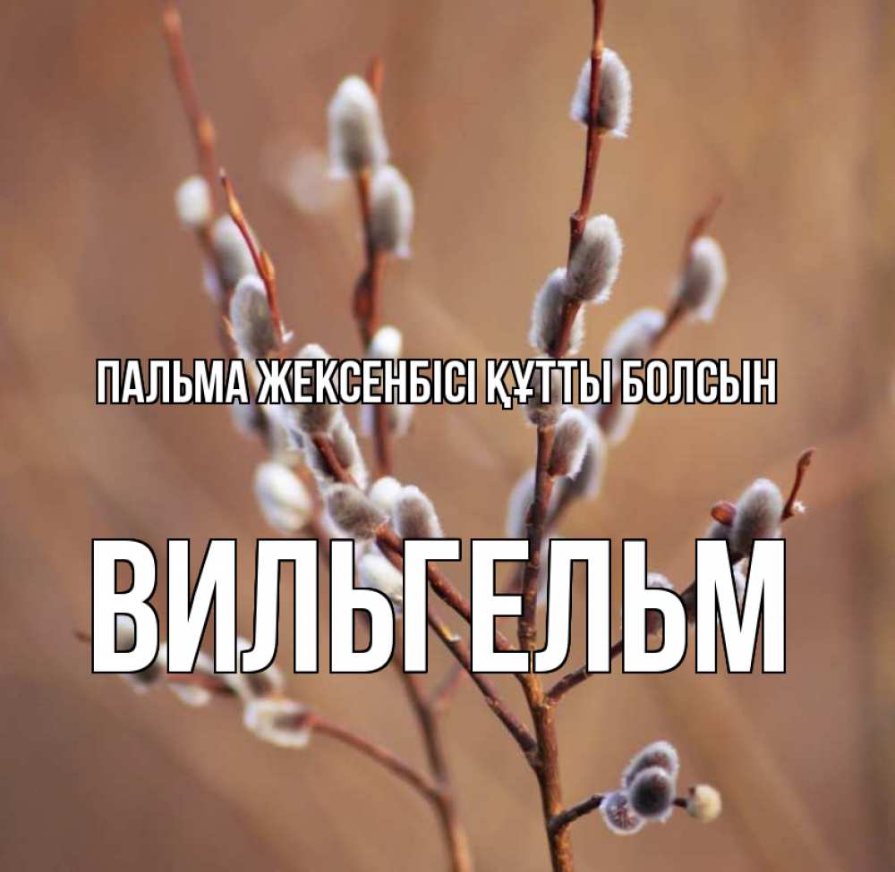 Күн сайын ашық хат с именем, Вильгельм Пальма жексенбісі құтты болсын верба Онлайн тегін жүктеп алу тілектері бар керемет карта 