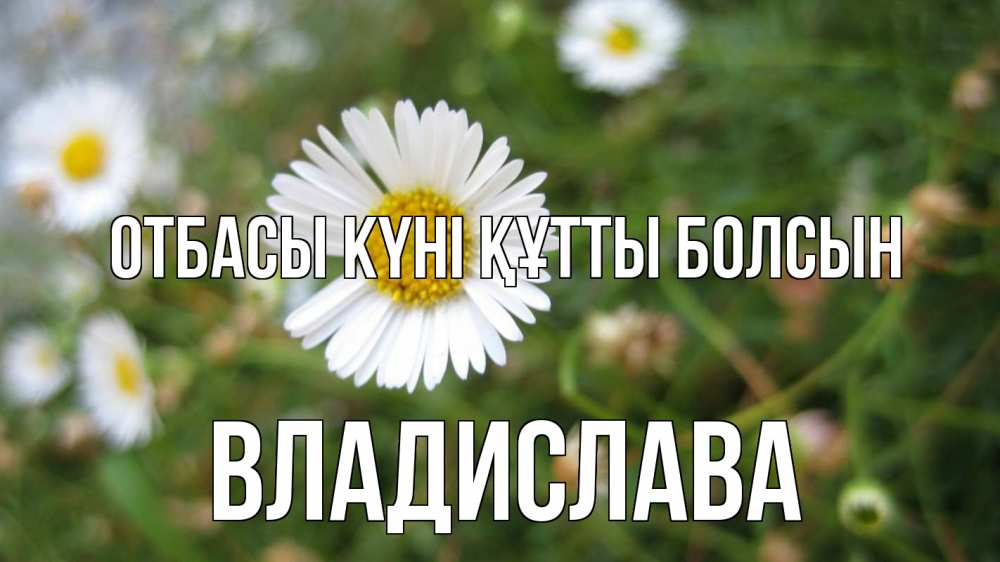 Күн сайын ашық хат с именем, Владислава отбасы күні құтты болсын с днем семьи Онлайн тегін жүктеп алу тілектері бар керемет карта 